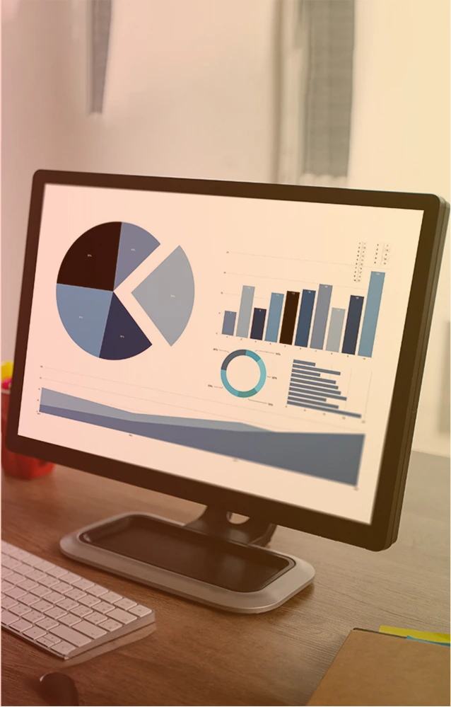 power bi development services